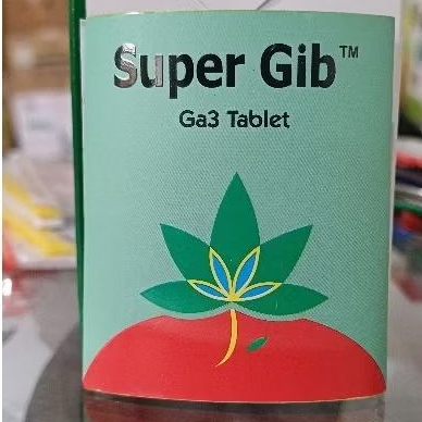 SUPER GIB GA3