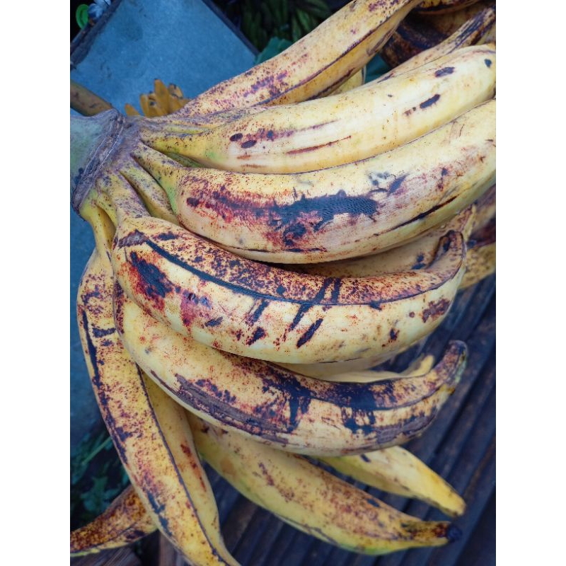

BUAH PISANG TANDUK / AGUNG