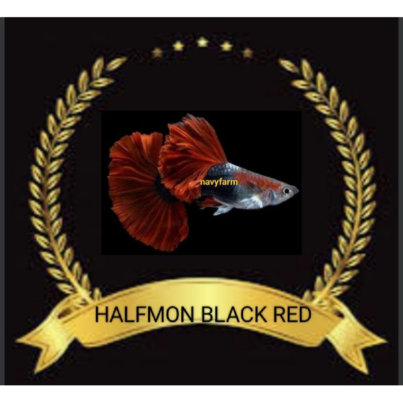 

STIKER UNIK GUPPY HALFMON BLACK RED