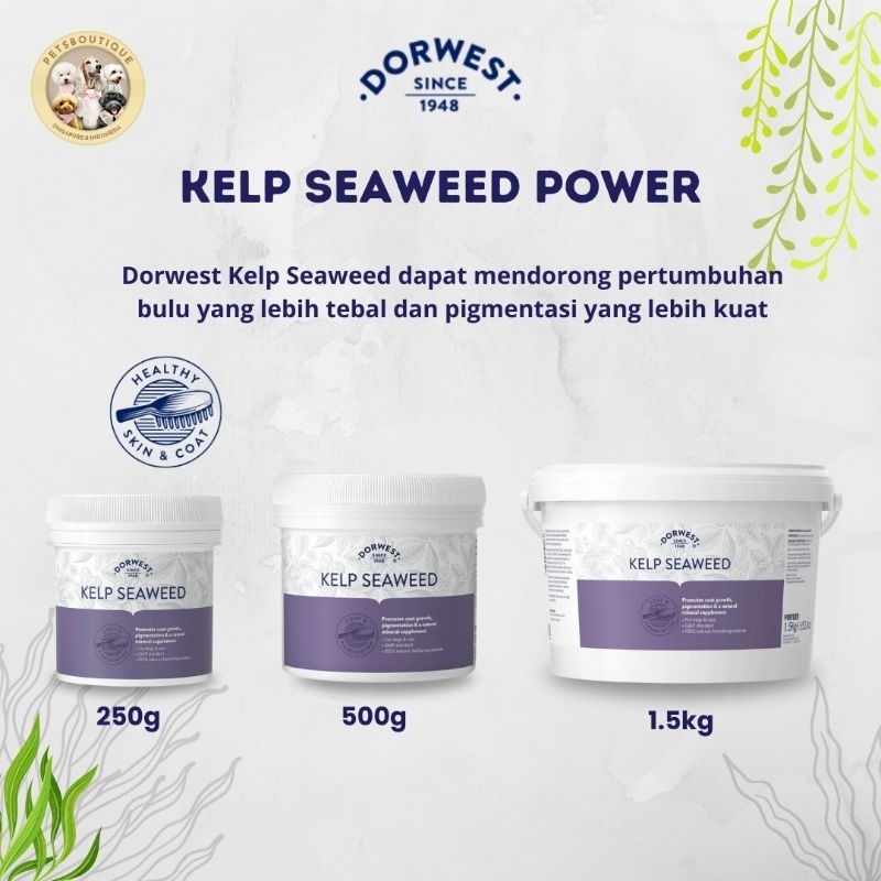 DORWEST Kelp Seaweed Powder