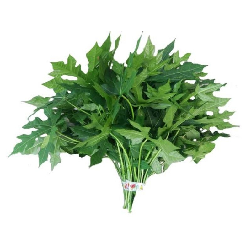 

Daun Pepaya Segar (Per 2 Ikat)