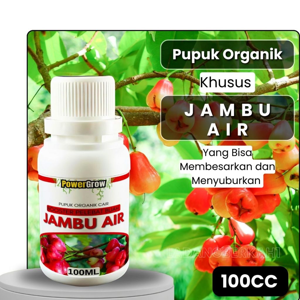 Pupuk Jambu Air Pemacu Pertumbuhan Bunga Dan Buah Booster Jambu Air Pengurang Kerontokan Pada Bunga