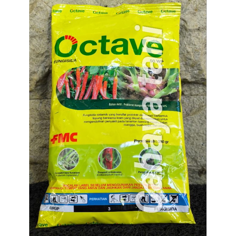 Octave 50WP 250 gram