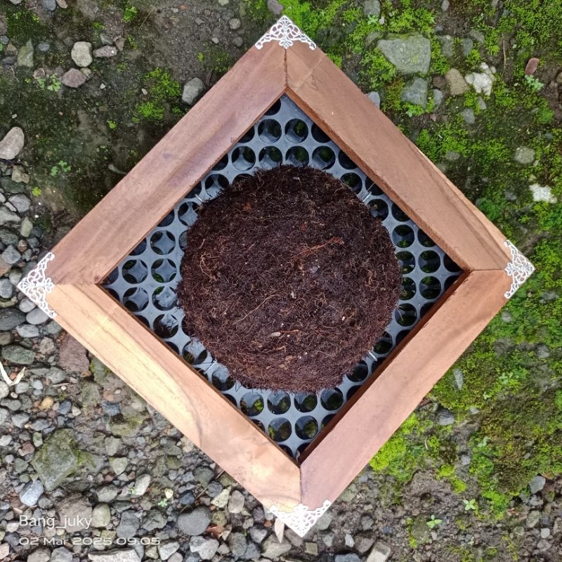 frame platycerium/frame simbar/drainase cell simbar/media tanam simbar/media tanam platycerium