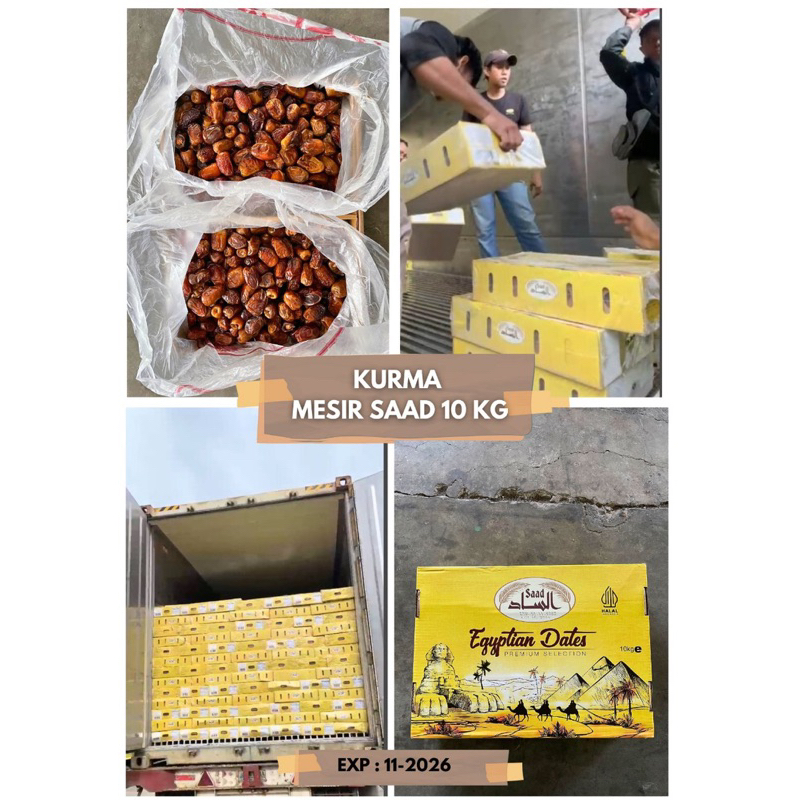 KURMA MESIR SAAD 10KG KURMA MESIR PREMIUM 10KG
