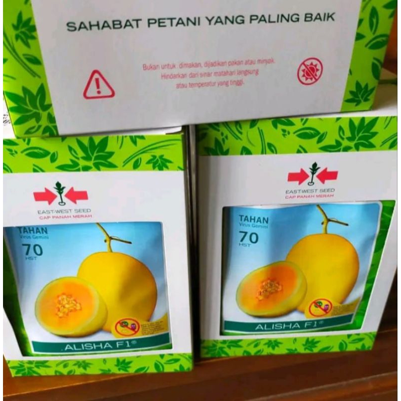benih melon golden Alisha f1 20 gram - 400 butir