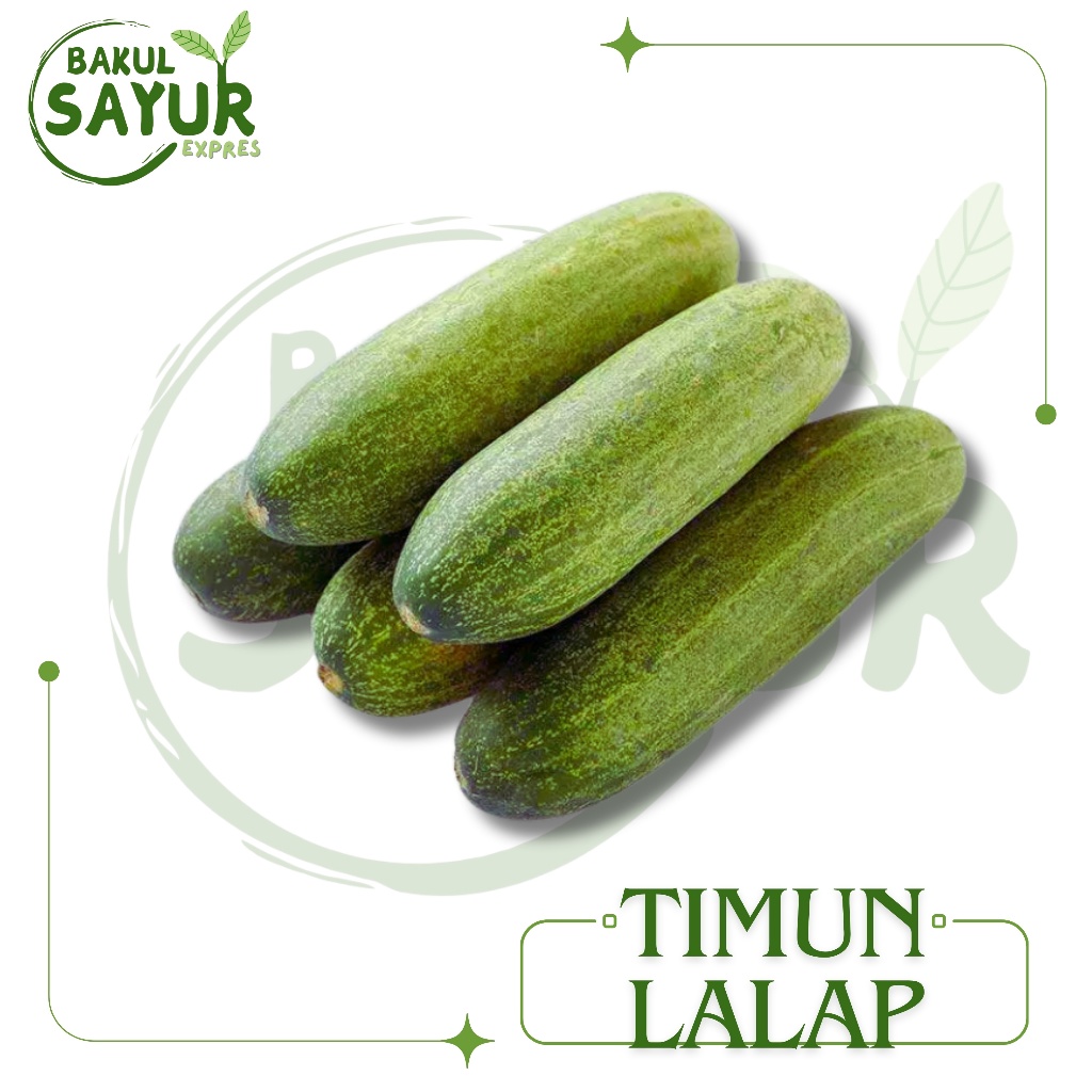 

Timun Lalap Kecil Segar 500gr