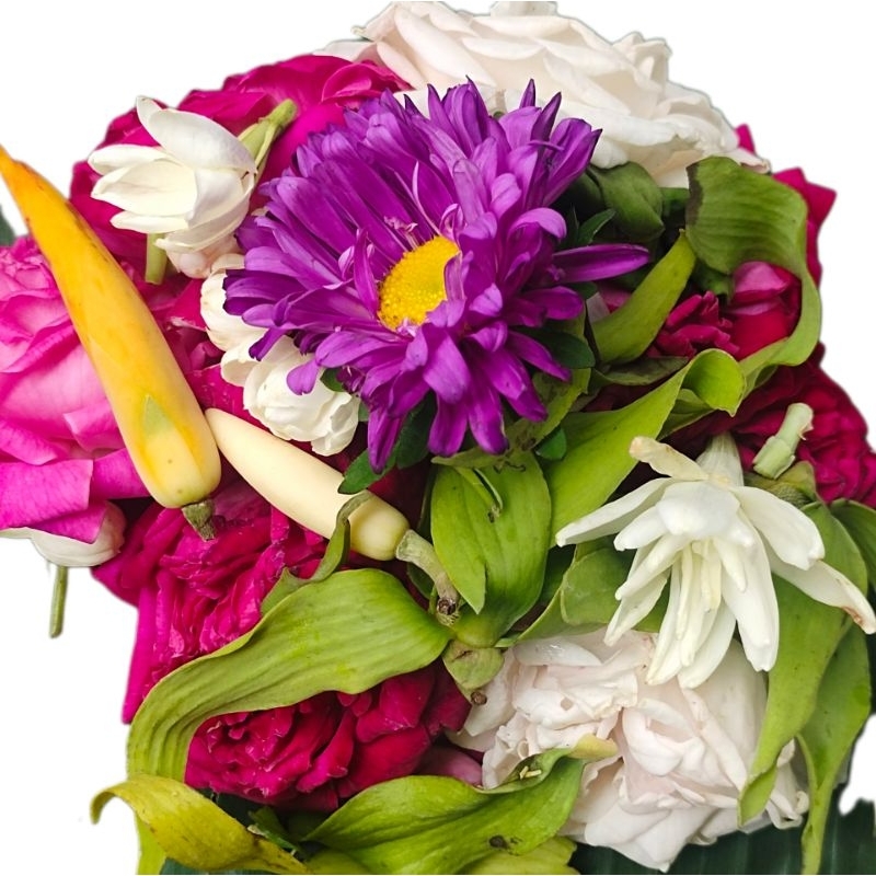 

BUNGA TUJUH RUPA / KEMBANG TUJUH RUPA