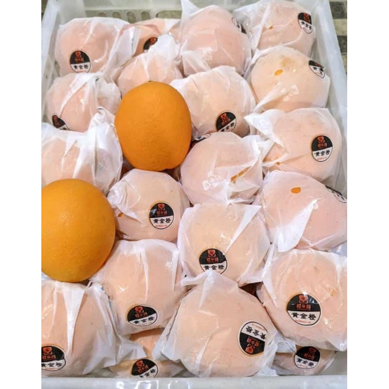 

sunkist navel / orange navel