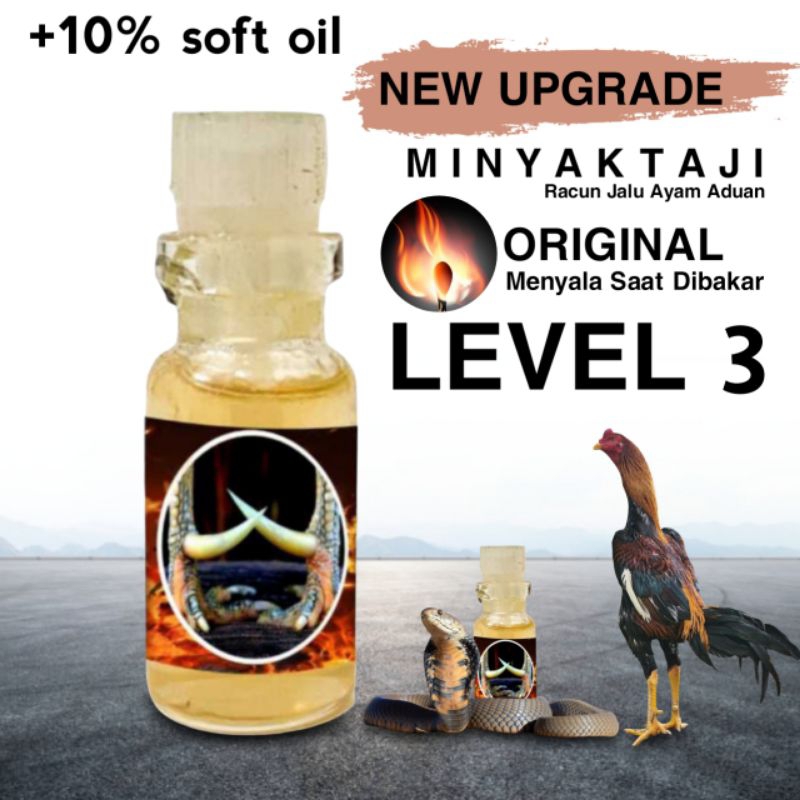 jamu ayam pakhoy asli level 3 new upgrade