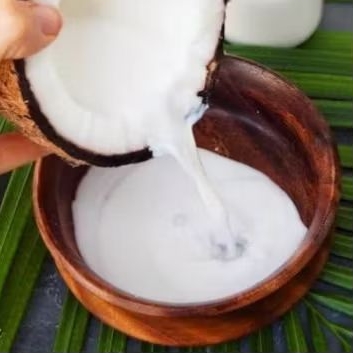 

santan segar dari 1 butir kelapa tua diperas dengan air matang murah banget