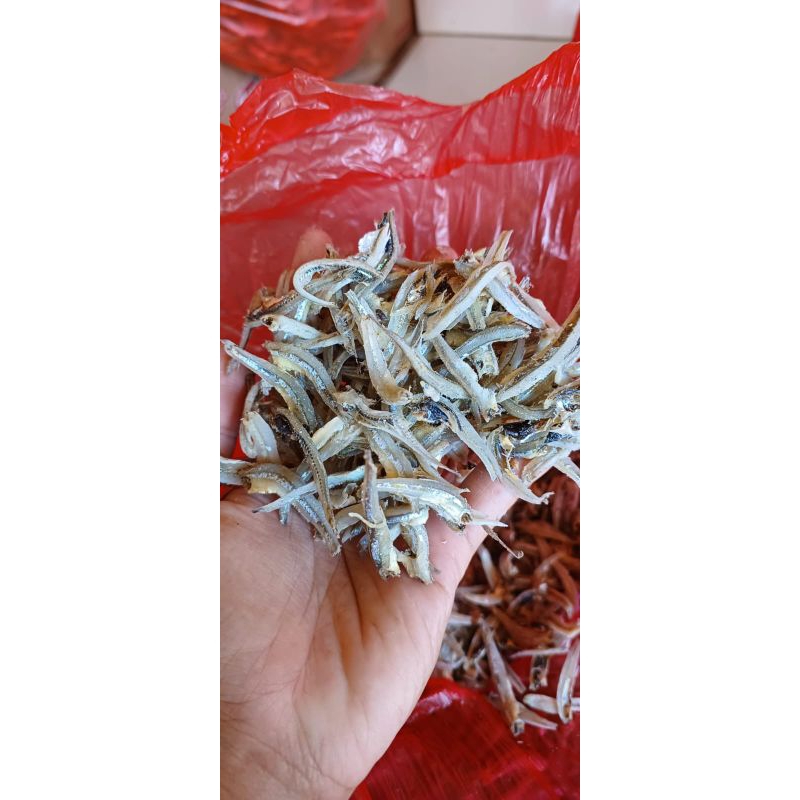 

teri belah teri medan