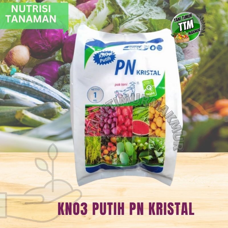 PUPUK NUTRISI TANAMAN KNO3 PUTIH PN KRISTAL