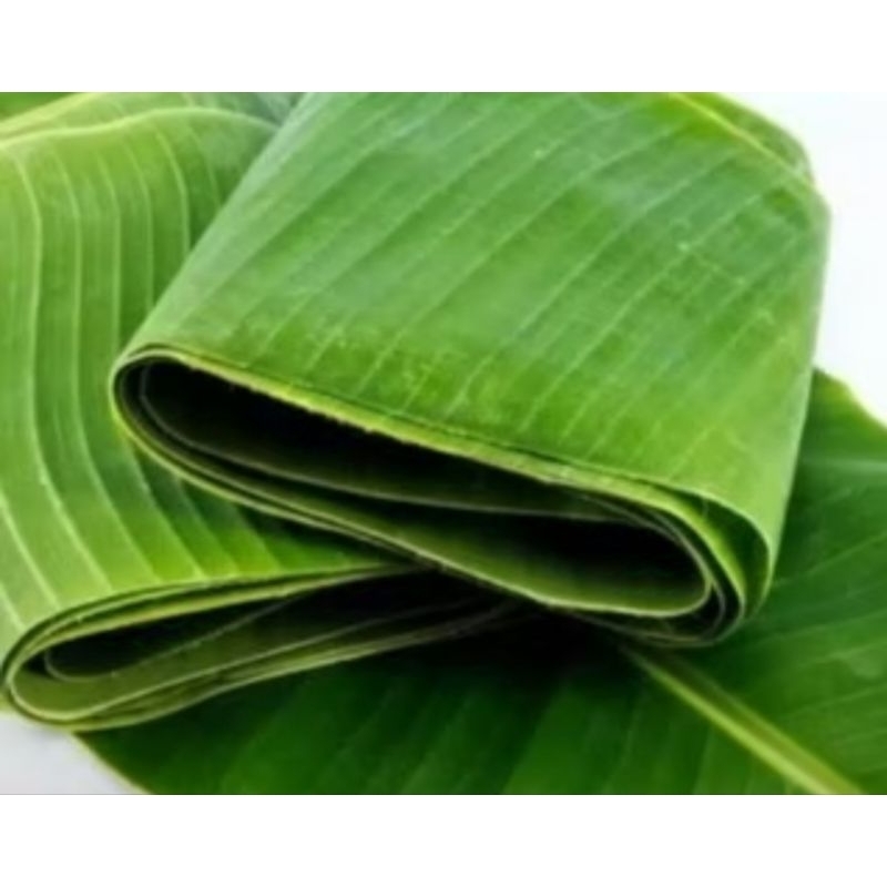 

[ANS] Tersedia Daun Pisang Segar Per 1 Ikat isi ( 5 lembar)