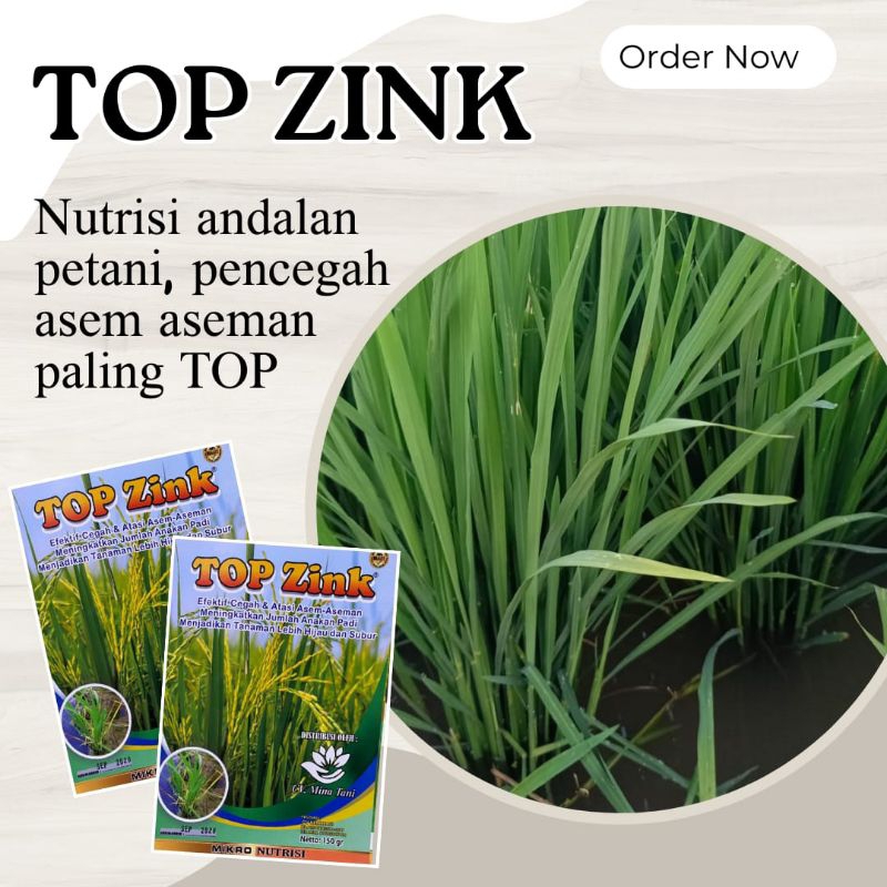 Top zink pupuk tanaman ,padi dll