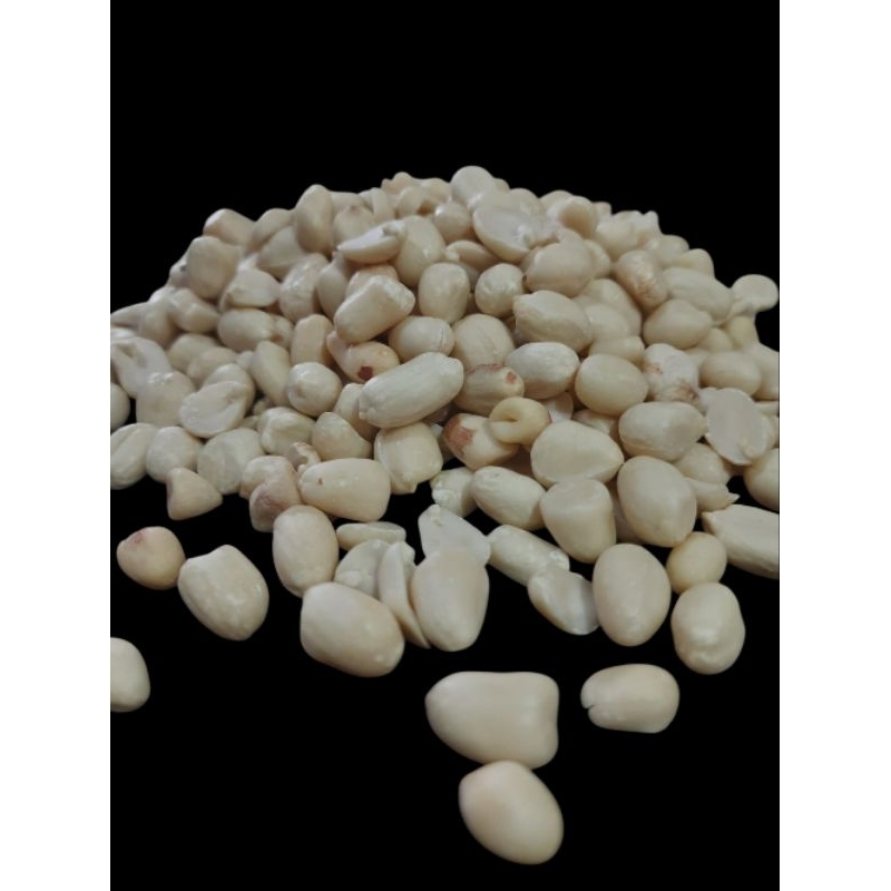 

KACANG KUPAS KWALITAS SUPER BESAR HARGA MURAH