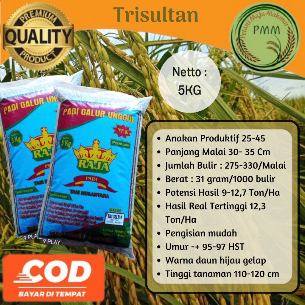 Benih Padi Unggul TRI SULTAN Persilangan 32/13A kemasan 5KG Bibit Padi TRISULTAN