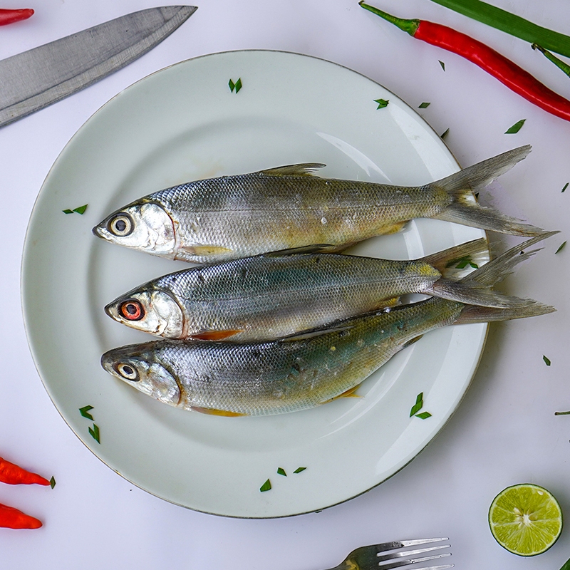 

Ikan Bandeng Frozen 1 Kg