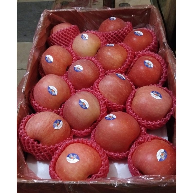 

Indukbuah Buah Apel Fuji Manis 1 Dus