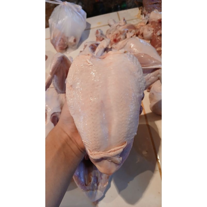 

ayam dada utuh 500grm