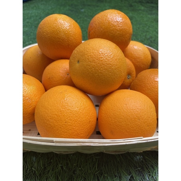 

SUNKIST VALENCIA TERMURAH - SUKABUAH