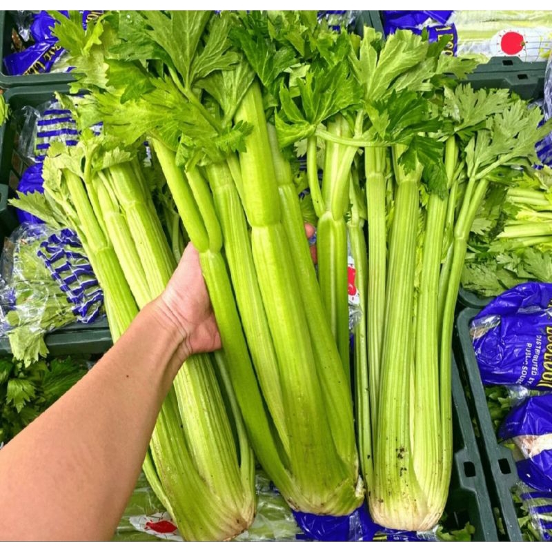 

celery import seledri jumbo