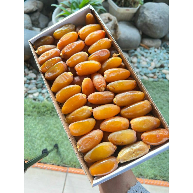 

kurma PALM'FRUTT
