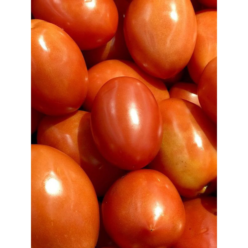 

tomat segar fresh sayur sayuran
