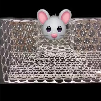 jebakan tikus massal prangkap tikus massal