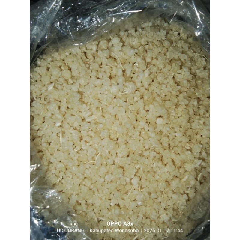 

tiwul (nasi singkong)