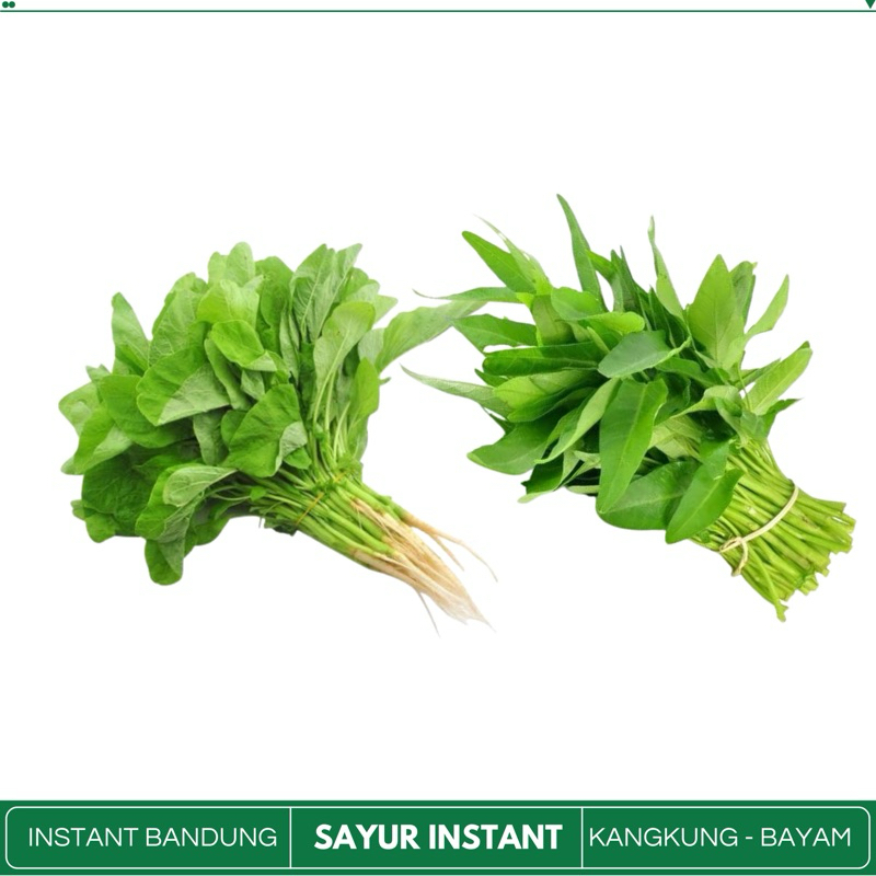 

KANGKUNG | SAYUR BAYAM - Sayur Instant Fresh Bandung