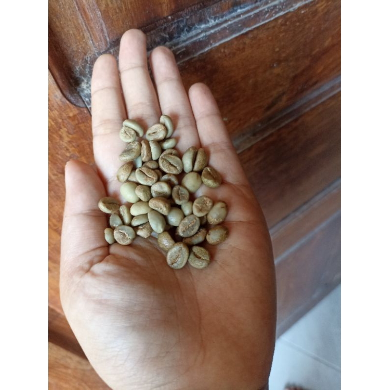 

Greenbean robusta gemawang temanggung (Grosir)