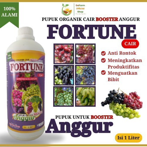 Pupuk Anggur, Pupuk Anggur Agar Cepat Berbuah, Pupuk Anggur Cepat Berbuah, Pupuk Buah Anggur, Pupuk 