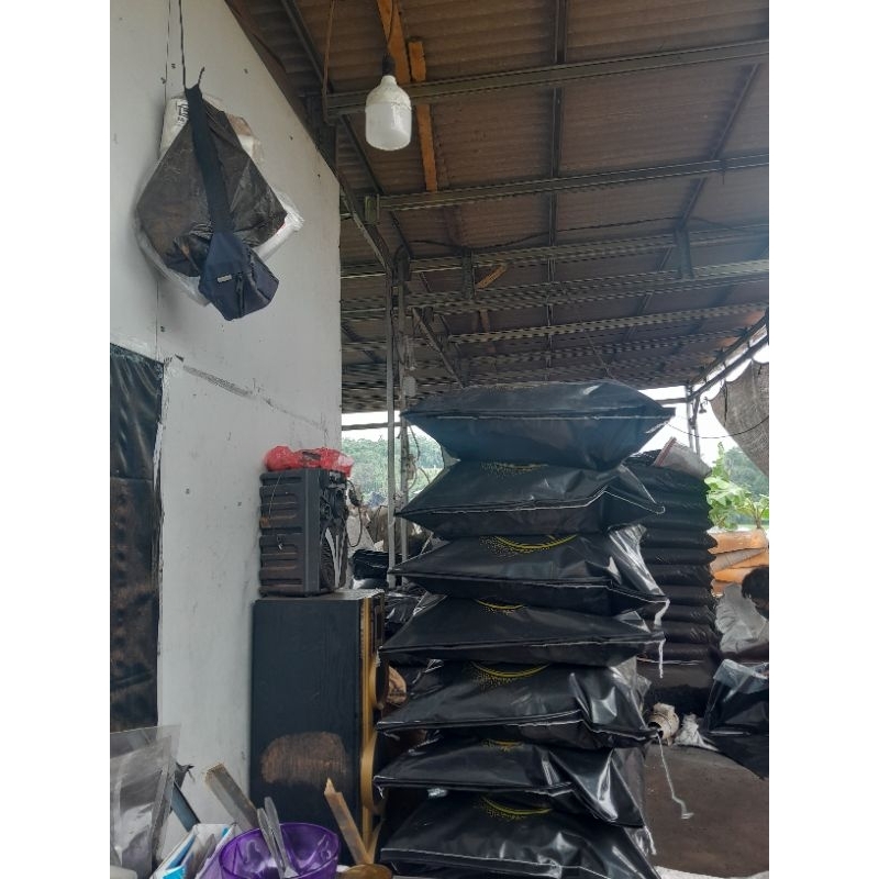 carbon aktif iodine 900/25kg