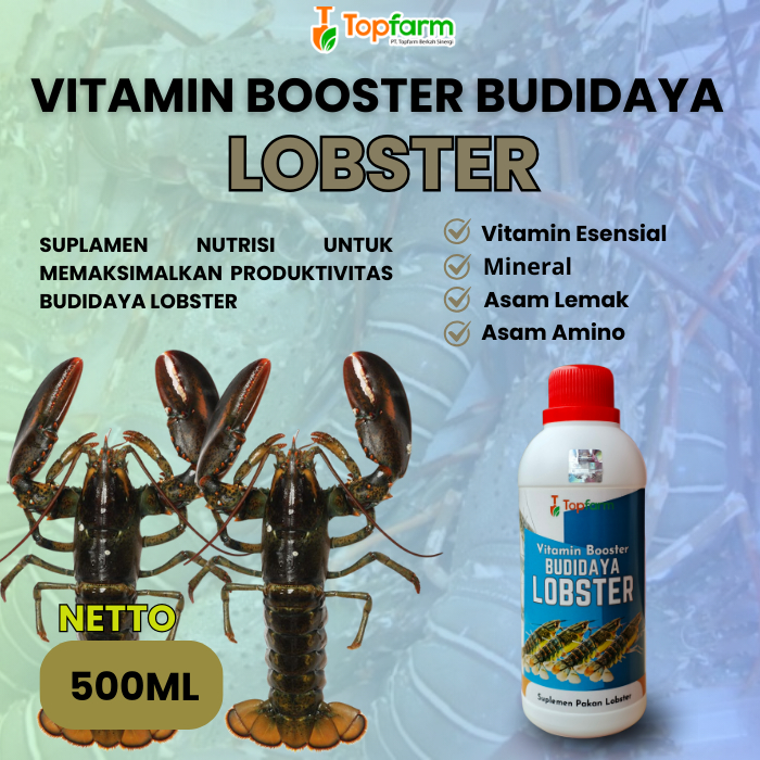 Vitamin Lobster 500ML/ Vitamin Budidaya Ternak Lobster/ Vitamin Lobster Cepat Besar/ Vitamin Budiday