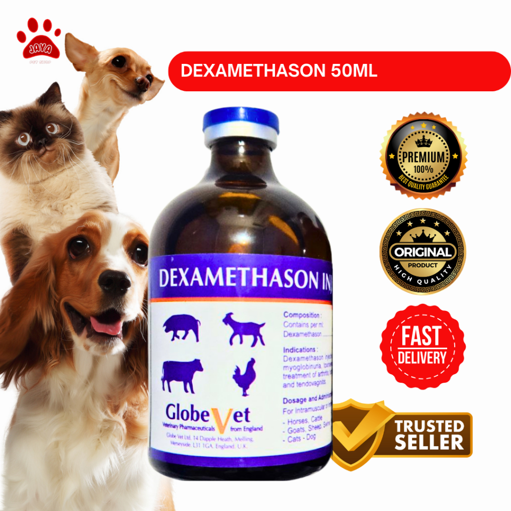 Dexa Globe Vet 100 ml - DEXAMETHASON