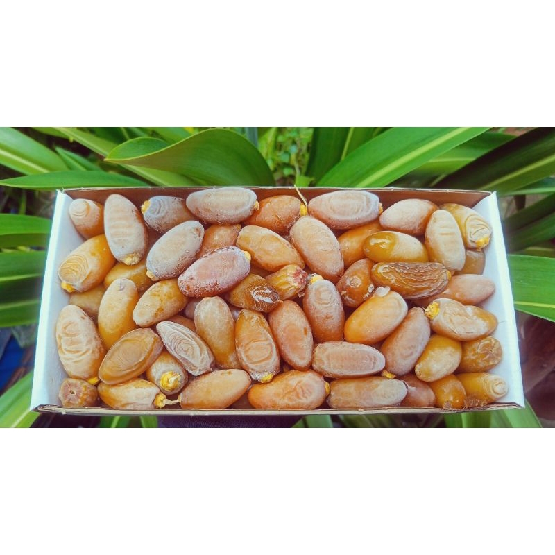 

Kurma Ruthob kemasan 1 kg