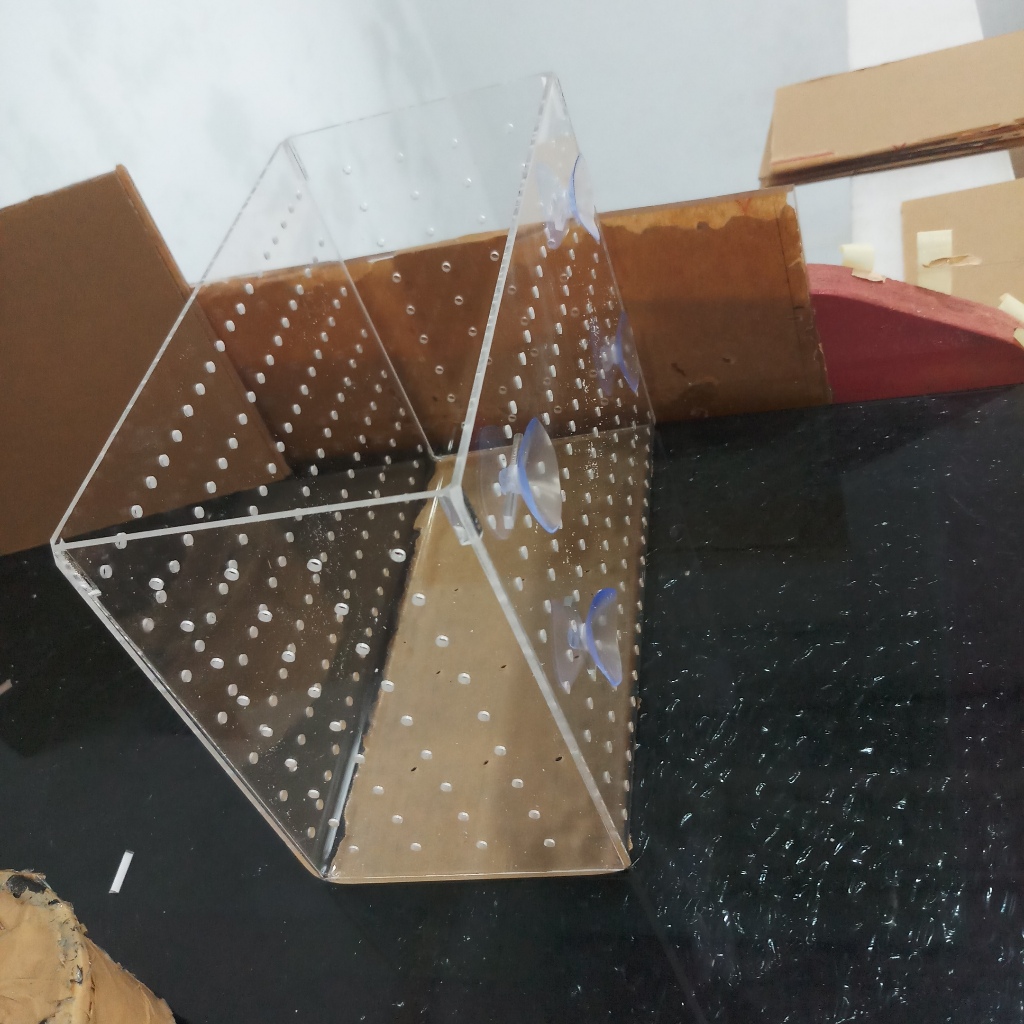 Custom Acrylic Karantina Aklamasi Aquarium Ikan