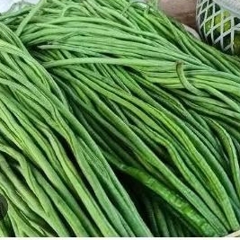 

kacang panjang 1kg