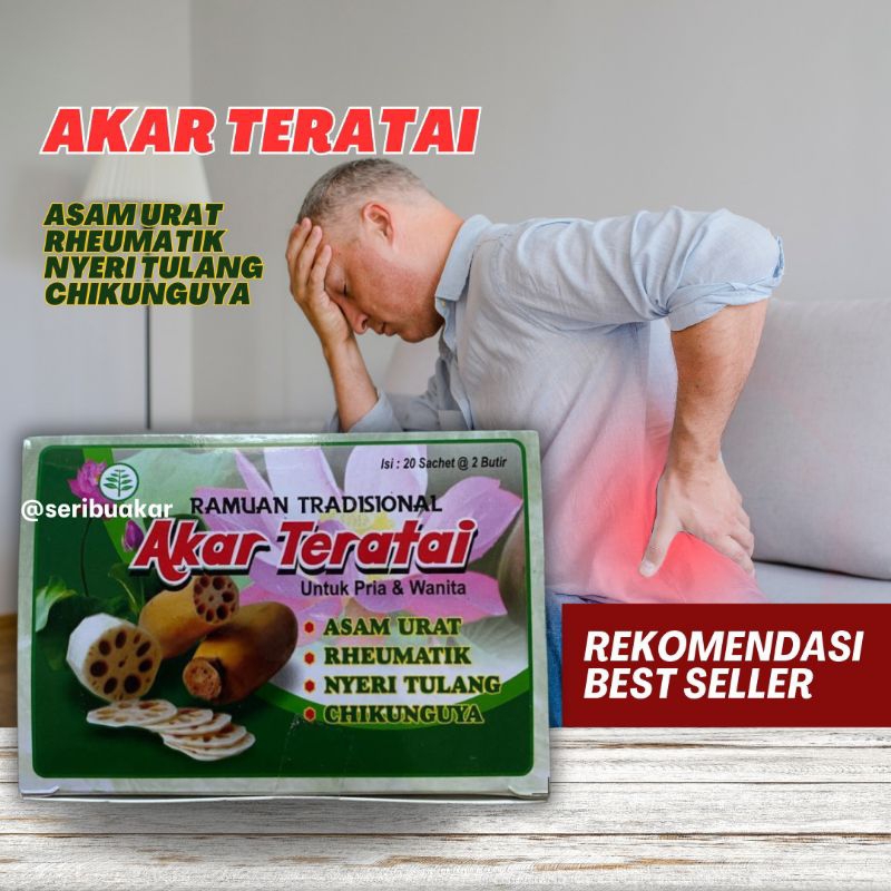 

Akar Teratai Herbal Tradisional Asam Urat Pegal Linu