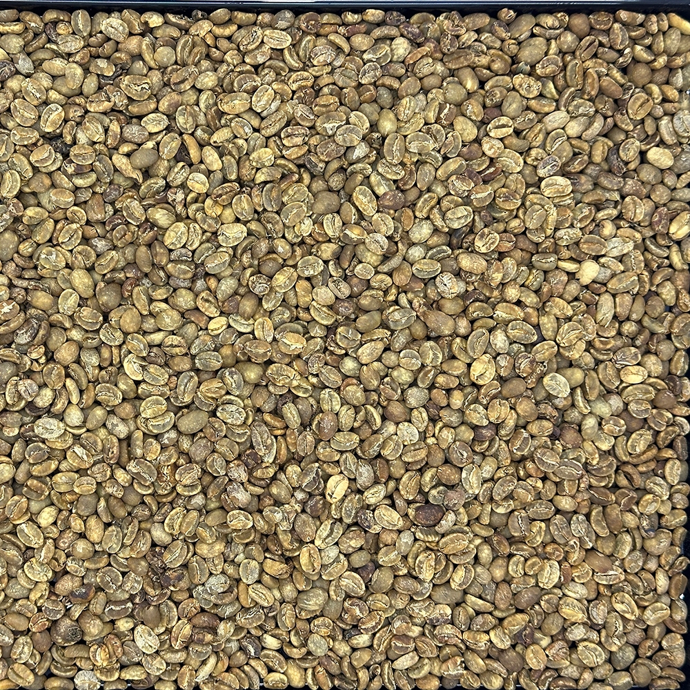 

MICHI COFFEE GB Green Bean ARABICA FLORES BAJAWA Biji Kopi Mentah Grade 1