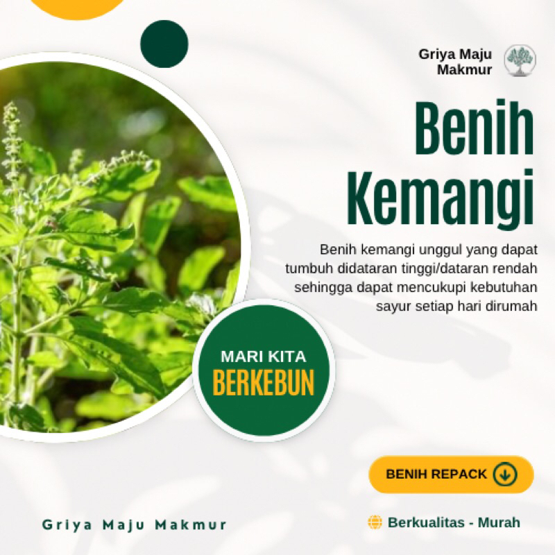 200 Biji Benih Kemangi - Unggul Berkualitas