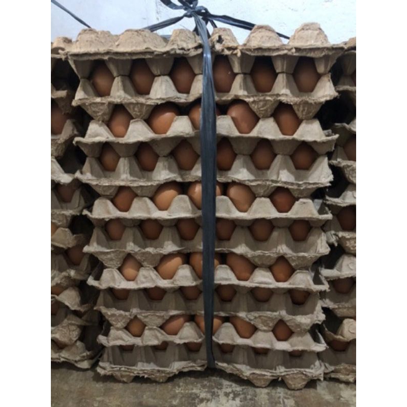 

TELOR AYAM NEGRI FRESS PREMIUM 15 KG