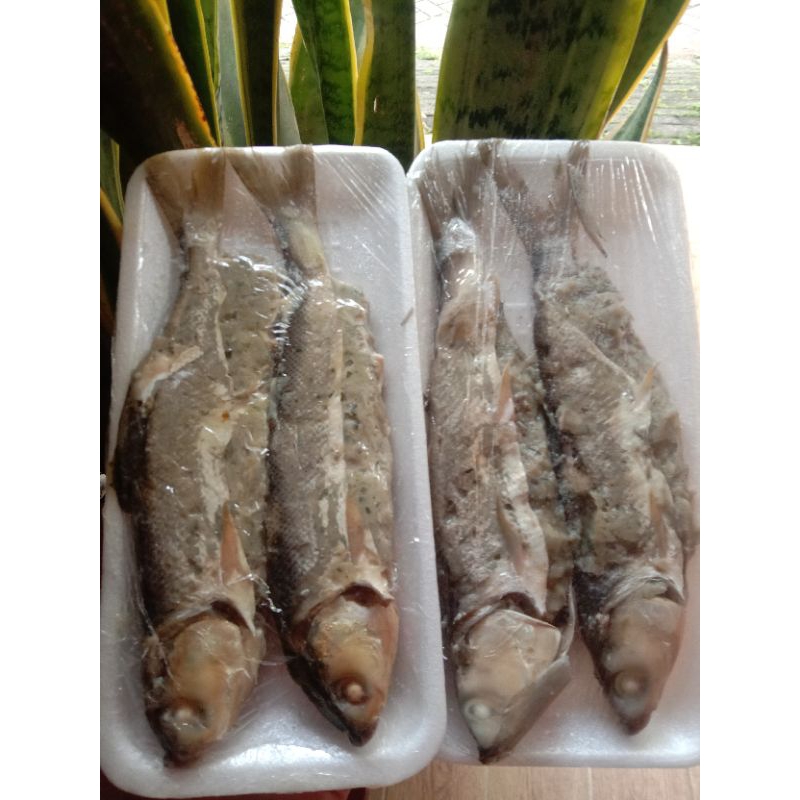 

Otak2 bandeng isi 2 biji