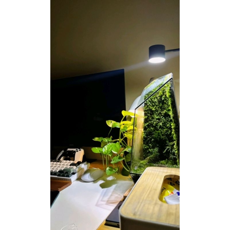 Lampu untuk Tanaman Terarium, Aquascape sebagai Pengganti Matahari