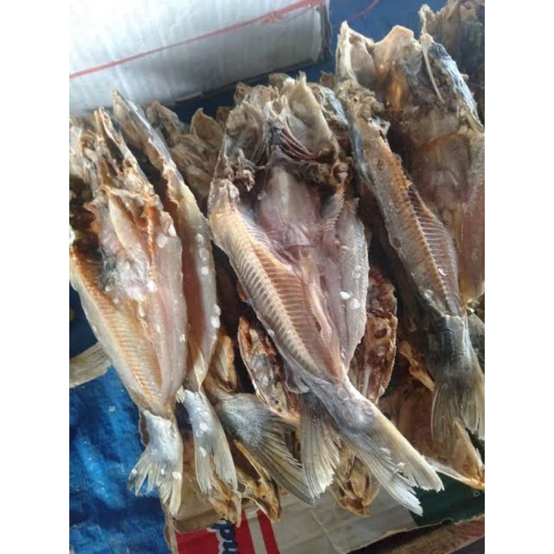 

ikan asin belukng dan dui kemasan 600 g