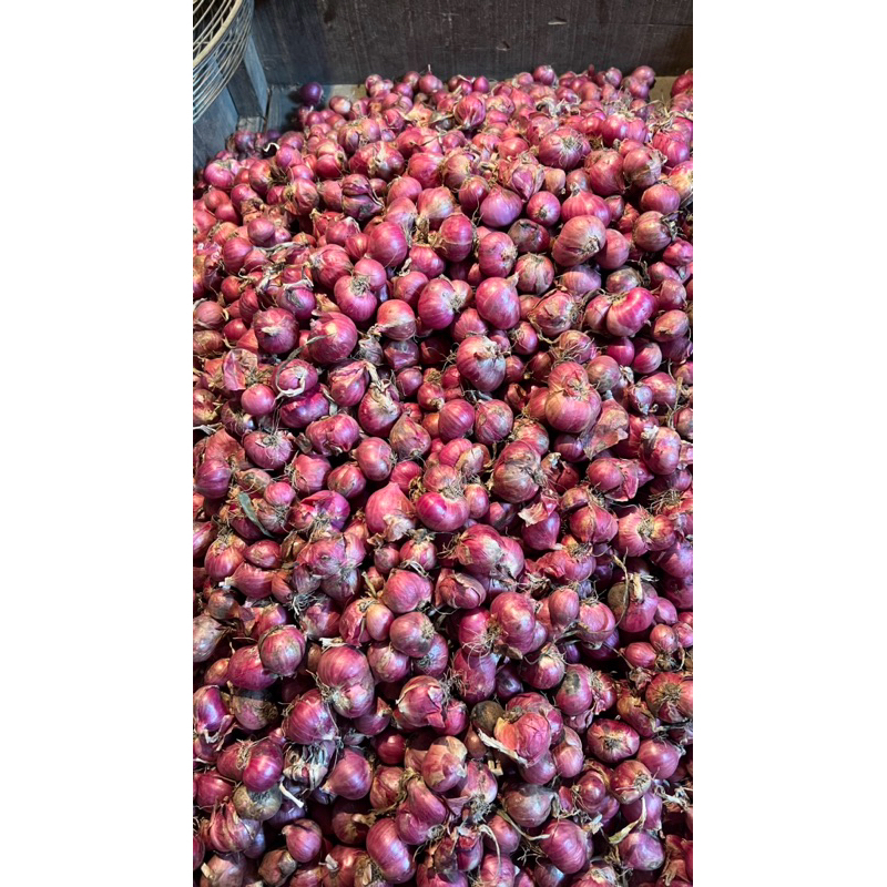 

READY BAWANG MERAH SUPER