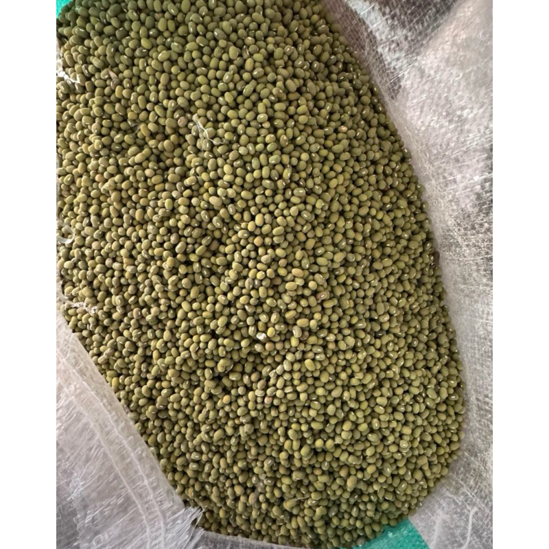 

Kacang Hijau 500gr