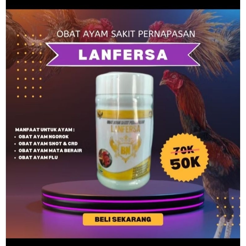 LANFERSA mengobati ayam ngorok, snot.crd dan flu
