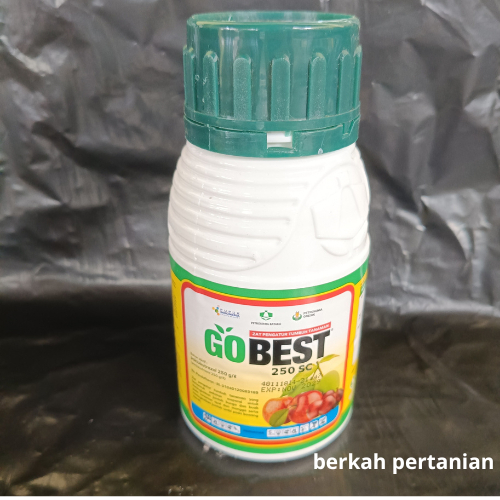 Gobest Go Best 250EC 250ML Zat Pengatur Tumbuh Paklobutrazol Original
